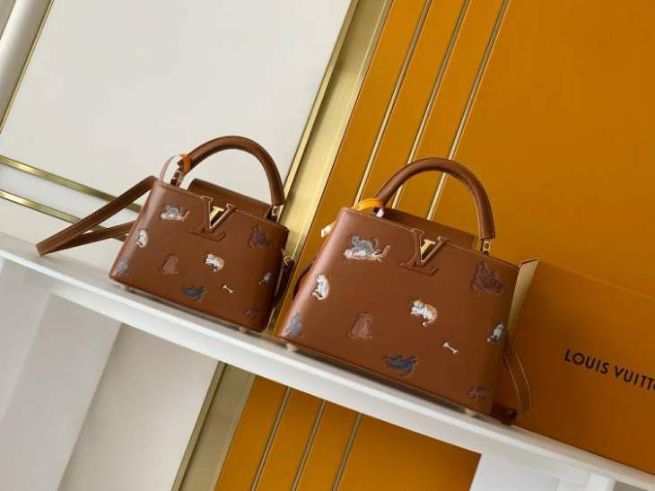 Picture of Louis Vuitton Handbags _SKUfw214922077fw